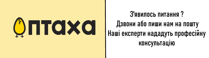 Баннер 1